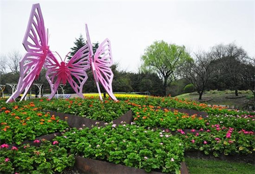 111_副本.jpg 2017上海花展迎八方來客